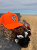 LED to® Hunt Tail Feather Trucker