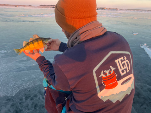 LED Bucket 'O' Fish Iceberg Crew